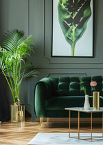 Majesty Palm